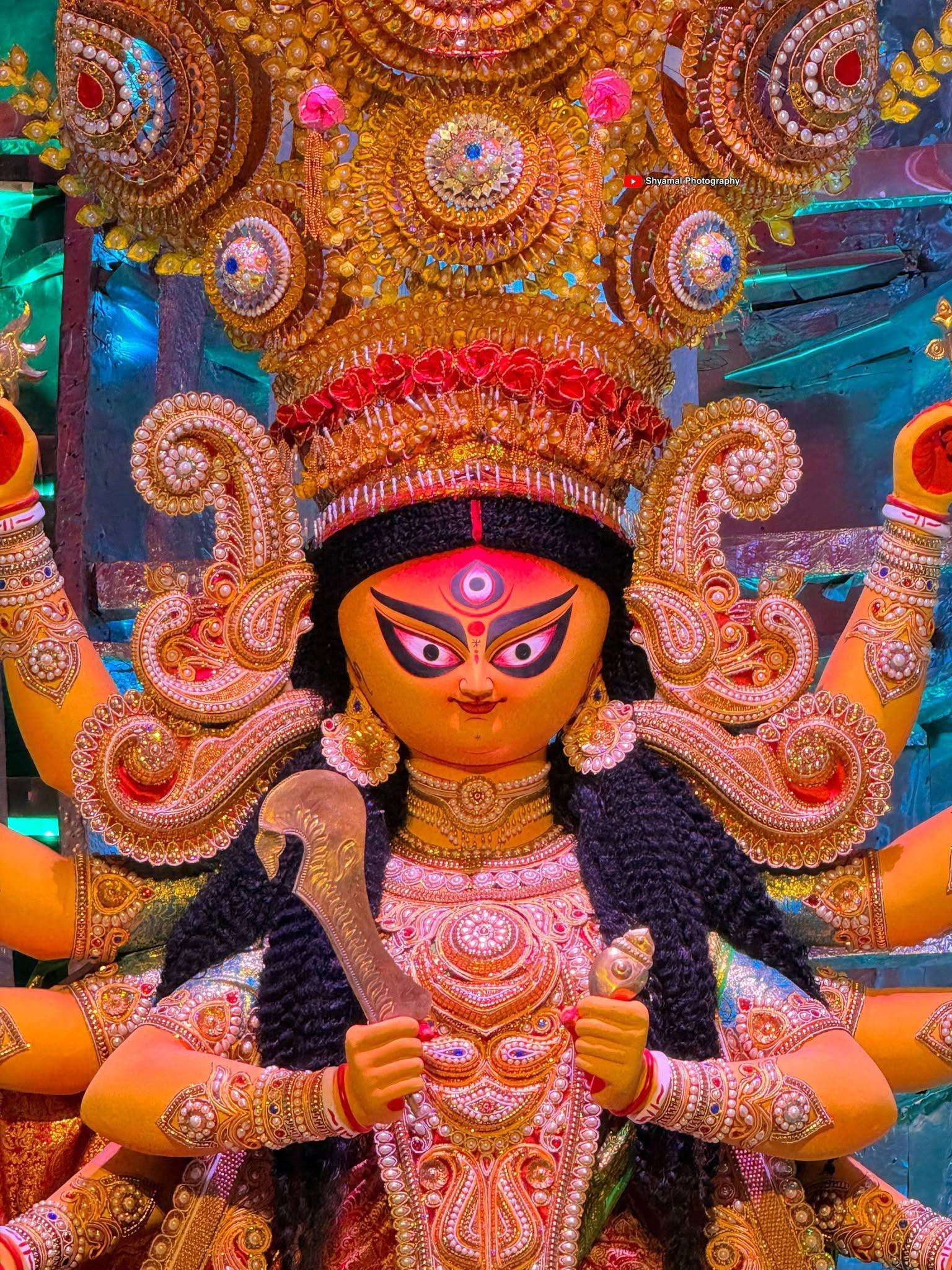 Newtown Sarbojanin Durgotsav Durga Puja pandal — North-East Kolkata 2026